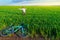 businessman rides a bicycle through a green grass field, the concept of activity, leisure or freelancing