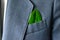 The businessman\'s photo in a suit with a leaf in a pocket