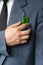 The businessman\'s photo in a suit with a leaf in a pocket