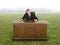 Businessman Sits At Office Desk in Field or Meadow