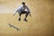 Businessman With Skateboard Jumping Against Wood Paneling