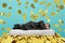 Businessman sleeps serene over a pile of golden coins. concept of wealth and good investment