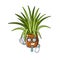 Businessman spider plant isolated with in mascot