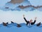 Businessman surrounded by sharks in stormy sea.