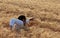 Businessman swimming in a golden field