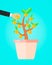 Businessman take a coin from money tree. financial income business concept.