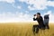 Businessman using binoculars on wheat field