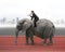 Businessman with using speaker riding on walking elephant