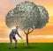 Businessman watering money tree in investment concept