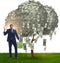 Businessman watering money tree in investment concept