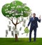 Businessman watering money tree in investment concept