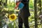 Businessman watering a sunflower