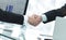 Businessman welcomes business partner shaking hands