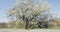 Businessman - Young urban professional business man walking in city park