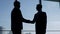 Businessmen shake hands and pat each other on the shoulder at window in office