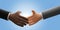 Businessmen shaking hands on blue background 3D render