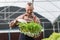 Businessperson or farmer checking hydroponic soilless vegetable in nursery farm. Business and organic hydroponic