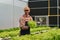 Businessperson or farmer checking hydroponic soilless vegetable in nursery farm. Business and organic hydroponic