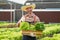 Businessperson or farmer checking hydroponic soilless vegetable in nursery farm. Business and organic hydroponic