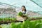 Businessperson or farmer checking hydroponic soilless vegetable in nursery farm. Business and organic hydroponic