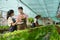 Businessperson or farmer checking hydroponic soilless vegetable in nursery farm. Business and organic hydroponic