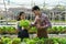 Businessperson or farmer checking hydroponic soilless vegetable in nursery farm. Business and organic hydroponic