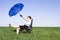 Businesswoman with blue Umbrella on meadow