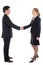 Businesswoman and businessman shaking hands