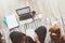 Businesswoman dressed in pajamas writing and enjoying morning coffee on the floor office with beagle dog with laptop, papers.