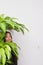 Businesswoman hiding behind office plant