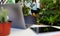Businesswoman holding coffee cup and smartphone walking from home room to working desk in corner small garden with laptop and