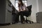 Businesswoman Looking In Drawer While Talking On Telephone In Office