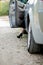 Businesswoman posing near white car and showing her slim and slender legs near her car. Successful lady in grey skirt posing on