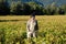 Businesswoman in a suit standing in the field with a diving mask