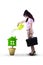 Businesswoman watering plant isolated