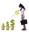 Businesswoman watering plant in pot isolated