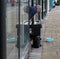 Busker in Elgin