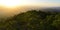 Bussaco Forest at sunset