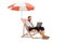 Bussinesman on a beach chair under umbrella using a laptop computer and smiling