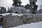 The bust carved on a rock in Finland Lapland looks great in the snow