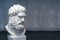 Bust of the Farnese Hercules. Heracles head sculpture, plaster copy of a marble statue. Son of Zeus, the ancient Greek