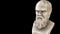 Bust greek philosopher Socrates - rotation Dx