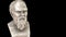 Bust greek philosopher Socrates - rotation Sx