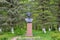 Bust monument to A. S. Pushkin among the firs