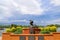 A bust statue of a Spanish explorer on the Savannah riverfront surrounded by red brick and lush green plants and yellow flowers