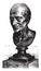 Bust of Voltaire by Houdon, vintage engraving