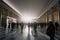 Bustling Conference Hall: Waiting Area and Entrance Hall with Blurred Businesspeople Coming and Going in Bright Ambience