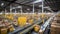 Bustling warehouse fulfillment center with conveyor belt transporting cardboard box packages