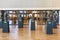 Busts in the Bibliotheca Alexandrina, the new library of Alexandria. A UNESCO World Heritage Site
