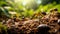 Busy ant colony at work on forest floor, macro shot with selective focus highlighting teamwork